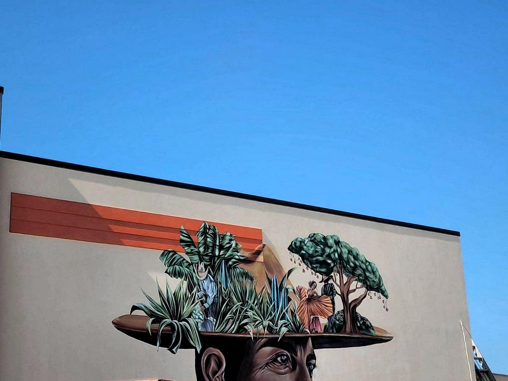 Diegos Burrito Factory construction - Lynn Haven FL