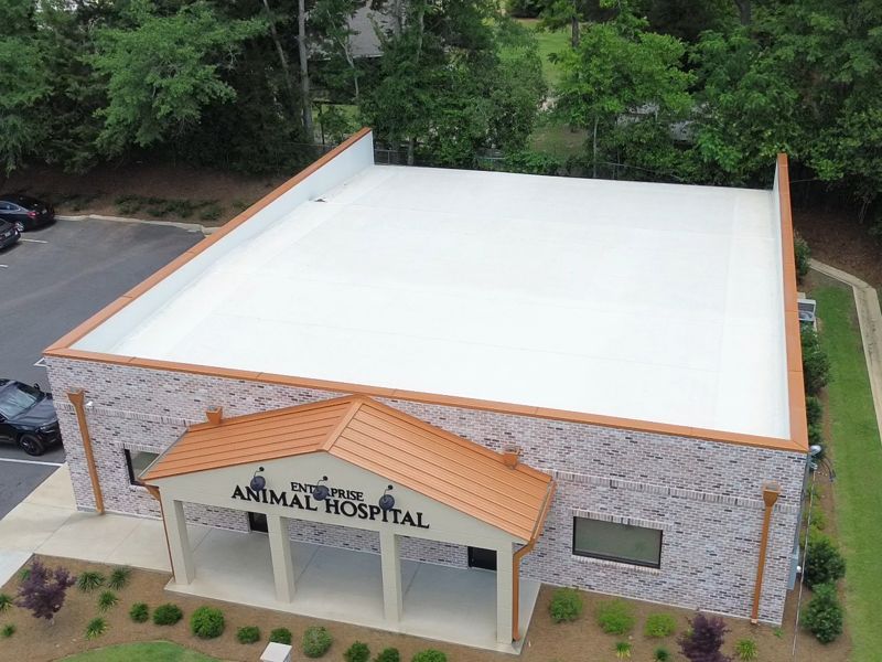 TPO Roof Replacement at Enterprise Animal Hospital