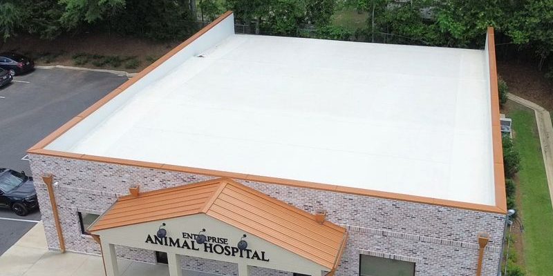 TPO Roof Replacement at Enterprise Animal Hospital